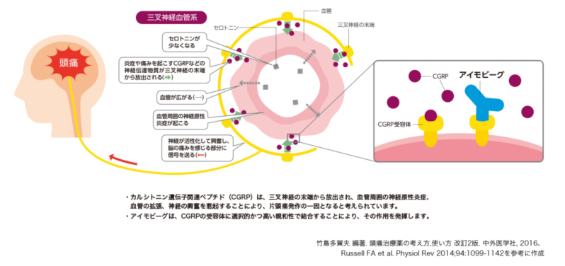 予防治療薬アイモビーグの作用