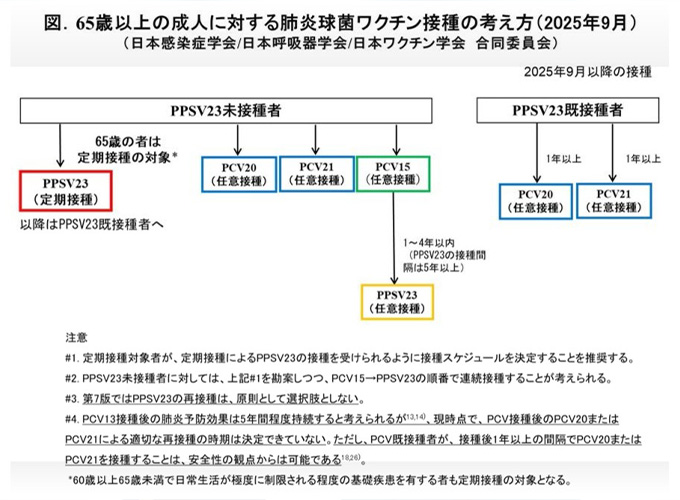 65歳以上の成人に対する肺炎球菌ワクチン接種の考え方